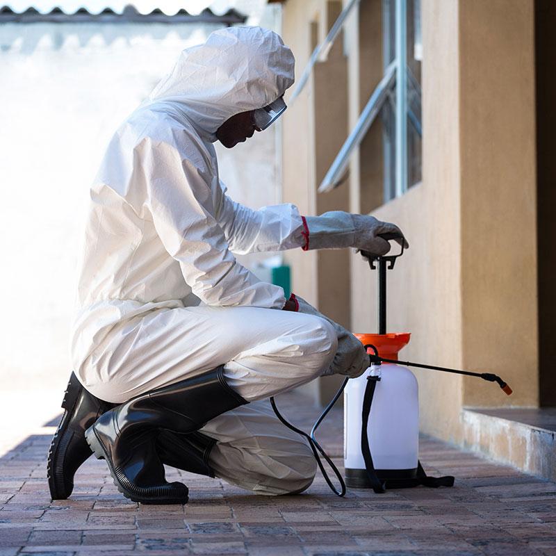 Pest Control