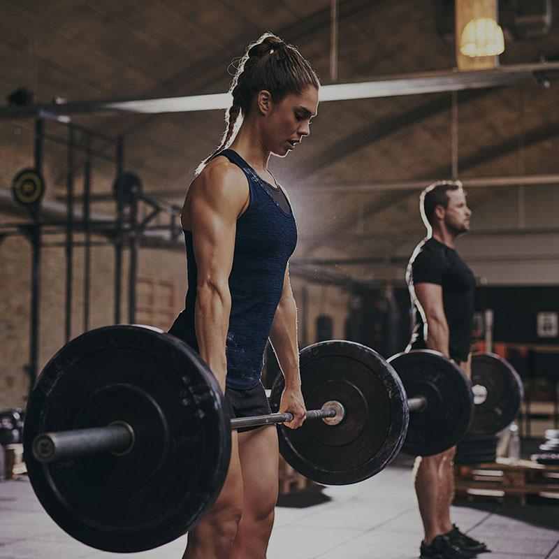 Gyms & Fitness